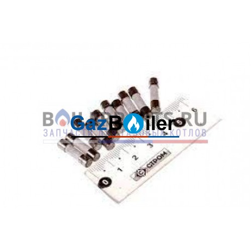 Предохранитель T2,5A (10 штук) BUDERUS 19045213420