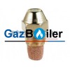Форсунка Delavan 0.75GPH, 80A (1)