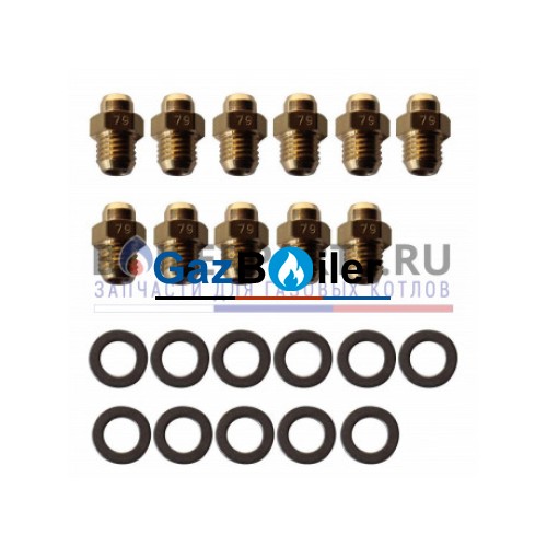 Комплект форсунок LPG на сжиженный газ D0,79 (11шт/комп) Ferroli (39819600)