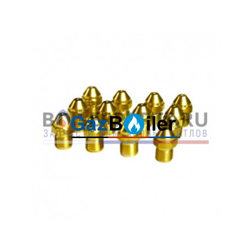 Форсунки на сжиженный газ (пропан) для котла Protherm Гепард MTV 0020211672