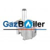Газовый регулятор и фильтр Giuliani Anello FGDR50 для котлов Ferroli 3142524