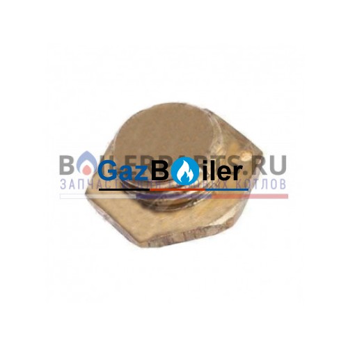 Заглушка резьбовая, стальная Protherm 0020092838