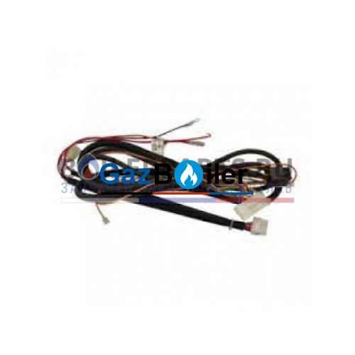 Жгут проводов 24KOZ17 Protherm 0020035547