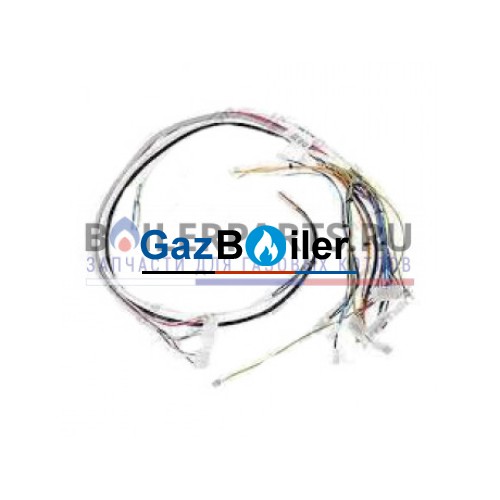 Жгут проводов KLZ Protherm 0020034011