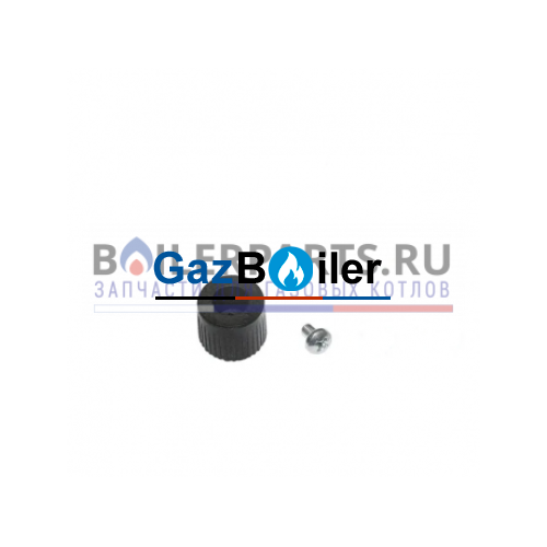 Ручка крана подпитки для котлов Vaillant ТЕС 5-3(5) 0020265138