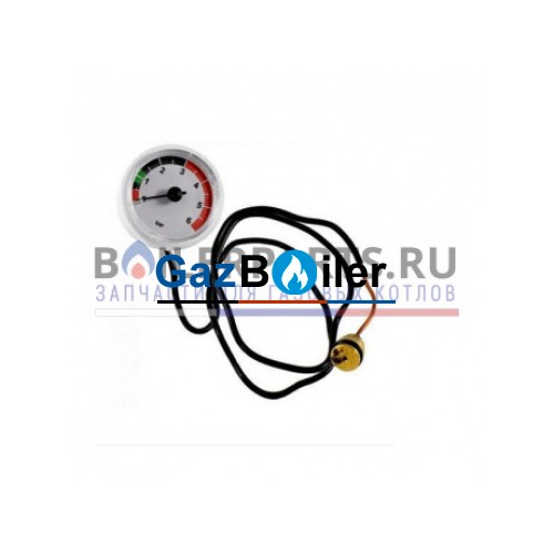 Манометр 0-6 бар для котлов Immergas 1.034600