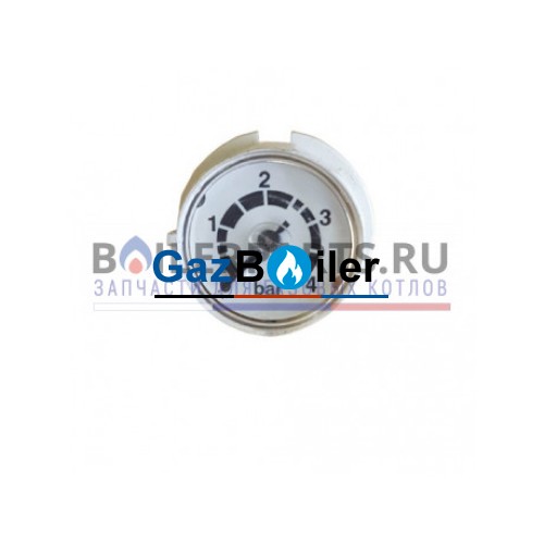 Манометр системы отопления котлов Buderus Logamax U052, U054 19928681