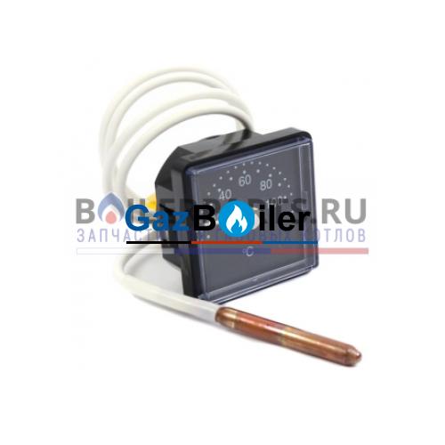 Термометр Vaillant 101563