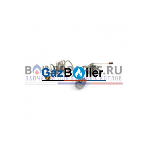 Термоманометр для котлов Immergas 1.013413 G