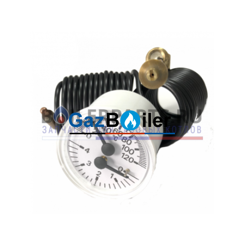 Термоманометр Ferroli Rendimax, Pegasus F1, F2 N 2S new, Tantaqua N, GN 39814770