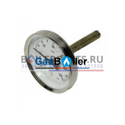 Термометр Vaillant 101572