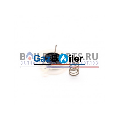 Мембрана 19POG Protherm 0020023889