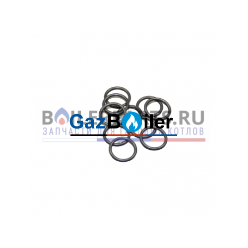 Резиновая прокладка (10 штук) Bosch/Buderus 87387019710