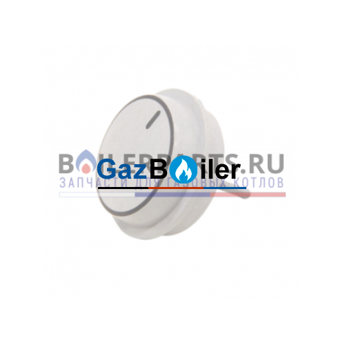 Ручки Vaillant EcoTEC plus, atmoTEC pro | atmoTEC plus, turboTEC pro | turboTEC артикул 0020048969 G