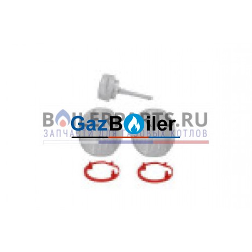 Ручка регулятора котла Vaillant TEC 3-3/ecoCOMPACT (комплект 1шт) 117319
