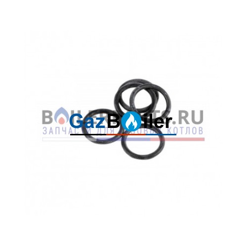 Кольцевое уплотнение d17-4 Ariston 60024164-51