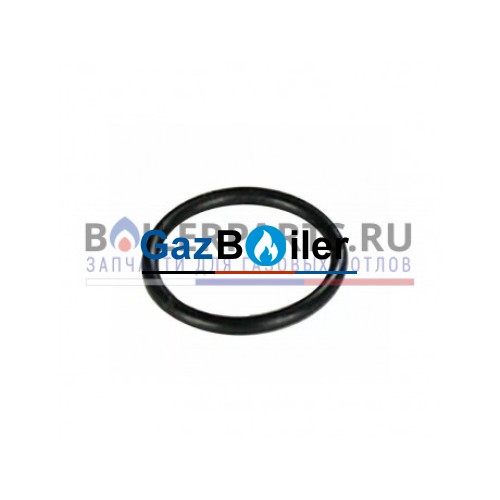 Уплотнение 15,60*1,78 BAXI 5402700