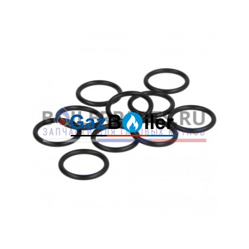 Резиновое кольцо (10 штук) Bosch/Buderus/Junkers 87402050040