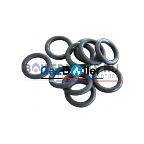Резиновое кольцо (10 шт.) Bosch/Buderus 87002050010