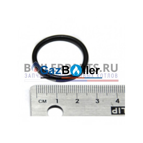 Уплотнение 23,47х2,62 (2шт) Buderus/BOSCH 07101504