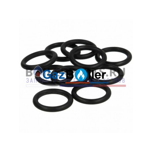Уплотнительное кольцо (10 штук) Bosch/Buderus 87002051470