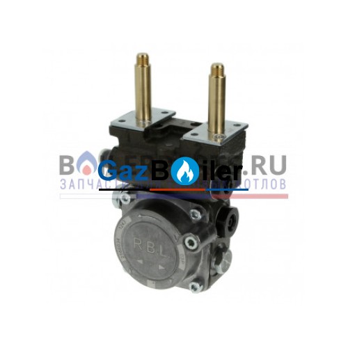 Насос RBL 2566034 3007854