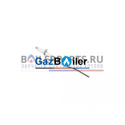 Электрод ионизации Ecoflam 208 мм 65320877